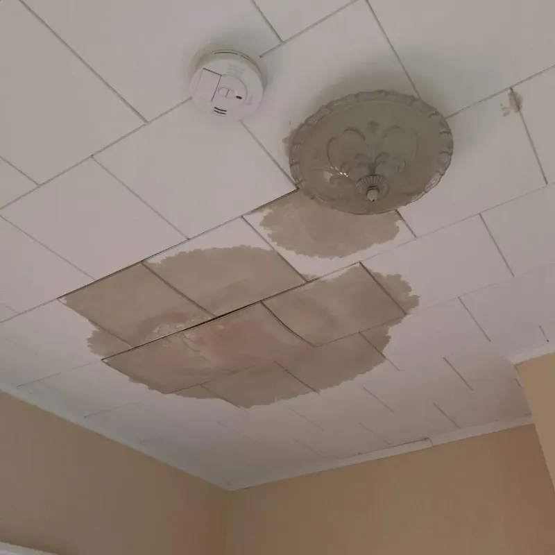 Ceiling Water Damage Repair in Ramsey, MN