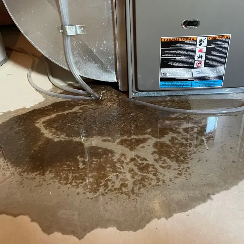 Pipe Burst and Leak Restoration in Ramsey, MN